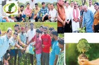 हरित प्रदेश अभियान (Photo source- Patrika)