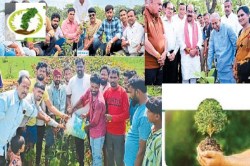 हरित प्रदेश अभियान: शहर से गांव तक पौधरोपण… डिप्टी सीएम साव सहित विधायकों ने
लगाए पौधे - image