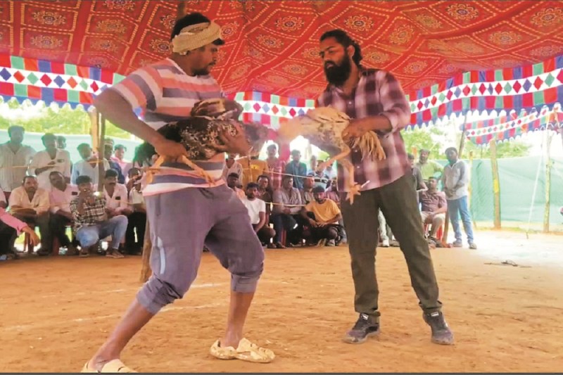 रोजाना लाखों का अवैध जुआ (Photo source- Patrika)