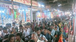 रामदेवरा लगातार दूसरे दिन श्रद्धालुओं की लगी लंबी कतार, जयकारों से गूंजी रुणिचा
नगरी - image