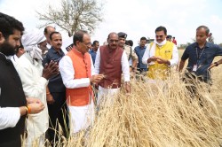 किसानों से धोखा: फसल के नुकसान पर बीमा कंपनी ने देवल हल्का में 8 किसानों को दिया
208 रुपए मुआवजा - image