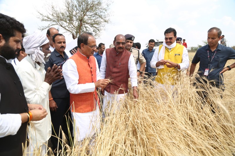 Fraud with farmers: Insurance company gave Rs 208 compensation to 8 farmers in Deval Halka for crop loss