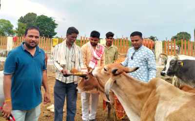 Cow worship was done at Bahoripar Gaushala