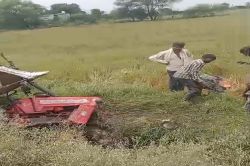 स्टेयरिंग फेल, ट्रेक्टर-ट्रॉली खेत में जाकर पलटी, 6 घायल - image
