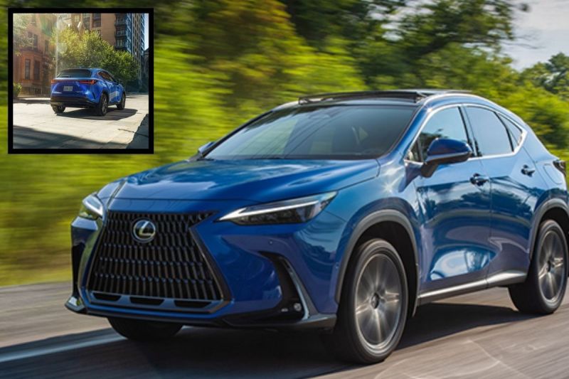 2025 Lexus NX 350h Launched