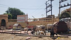 …तो इस हाल में मनेगा राष्ट्रीय पर्व…अव्यवस्थाओं की बेडिय़ों में जकड़ा जैसलमेर - image