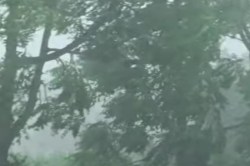 UP Rains: मौसम विभाग की नई चेतावनी, कल इन 28 जिलों में भयंकर बारिश, IMD latest
update - image