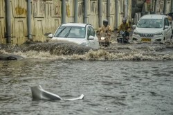 Heavy Rain: 23 अगस्त से लौटेगी झमाझम बारिश: पूर्वी यूपी में ज्यादा असर, पश्चिमी
जिलों और तराई में भी भीगेंगे आसमान - image