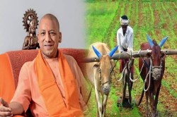 UP Farmer Registry: किसानों की 100% रजिस्ट्री का लक्ष्य: 16 सितम्बर से यूपी में
विशेष अभियान, बिजनौर सबसे आगे - image