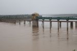 शांत हुआ चंबल का रौद्र रूप, लेकिन पीछे छोड़े बर्बादी के निशां The ferocious form of Chambal has calmed down, but it has left behind signs of destruction