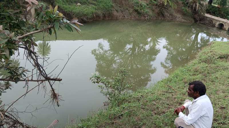 People are in panic after seeing the crocodile, they are afraid to work in the fields