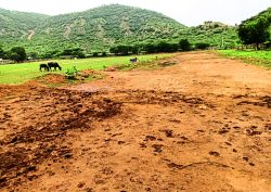 राजगढ़ के सबसे बडे़ खेल मैदान प्रताप स्टेडियम में सुविधाओं का अभाव, खिलाड़ी
परेशान - image