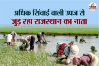 Rajasthan Rains Change Farming Trend