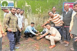 Patrika Harit Pradesh: ‘एक पेड़ मां के नाम 2.0’ अभियान के तहत आबकारी विभाग ने
किया पौधरोपण - image