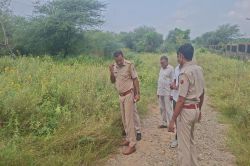 इकोलॉजी पार्क में मिला सात माह का भ्रूण, कुत्ते नौंच रहे थे - image
