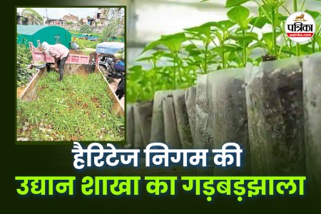 Hariyalo Rajasthan claim
