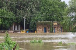 धौलपुर जिले में अतिवृष्टि और बाढ़ से भारी नुकसान, 26 करोड़ की क्षति का हुआ आकलन - image