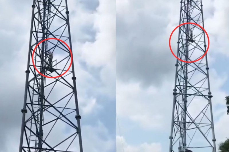 boy climbs mobile tower video viral love marriage shivpuri mp news