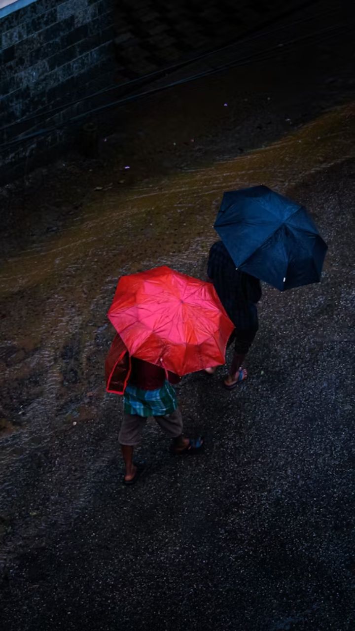 CG Monsoon: फिर कहर बरपाएगा मानसून! आज इन जिलों में होगी भारी बारिश, IMD का येलो और ऑरेंज अलर्ट जारी