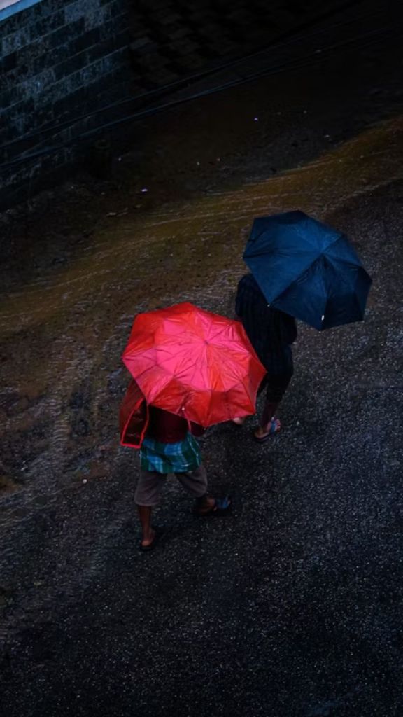 बारिश का अलर्ट (फोटो सोर्स- unsplash)