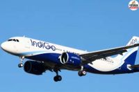 when Indigo's operations will return to normal in MP