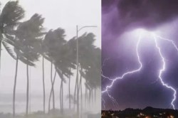 UP Rain Alert: मौसम विभाग ने जारी किया भारी बारिश का अलर्ट , अगले 24 घंटे में 26
जिलों में तेज बरसात - image