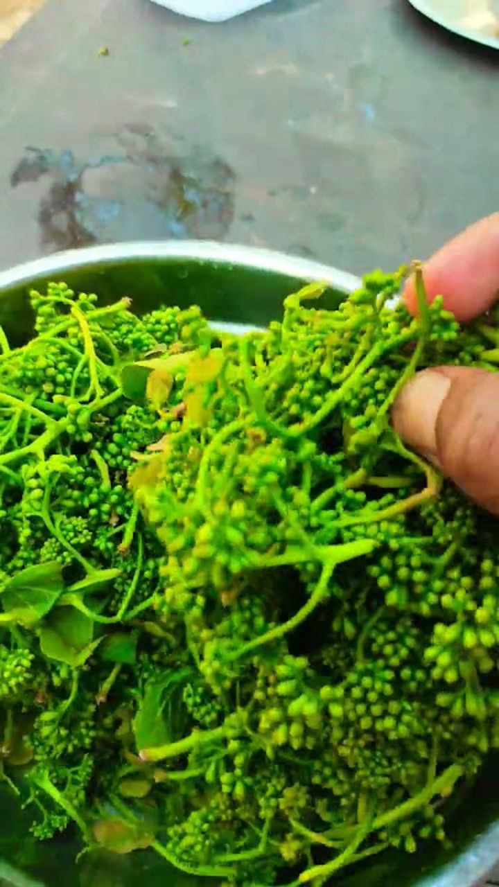 Chhattisgarh News: छत्तीसगढ़ की थाली का अनमोल स्वाद, जो बन गया बाजार का स्टार