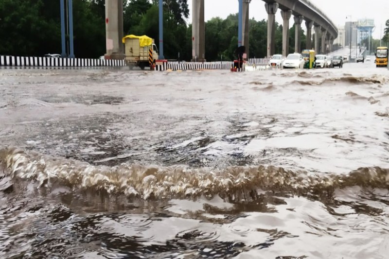 मानसून की मार: तेज बारिश से बाढ़ का खतरा, अलर्ट जारी फोटो सोर्स : Patrika