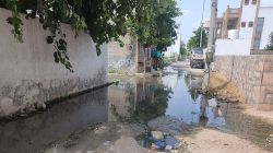 नरक की जिंदगी जी रहे लोग, प्रशासन मौन - image