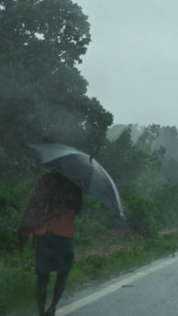 भारी बारिश का अलर्ट (फोटो सोर्स- istockphoto)