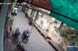 सांड ने महिला को मारी टक्कर… 4 फीट ऊपर उठाकर पटका, रौंदते हुआ भागा, देखें वीडियो - image