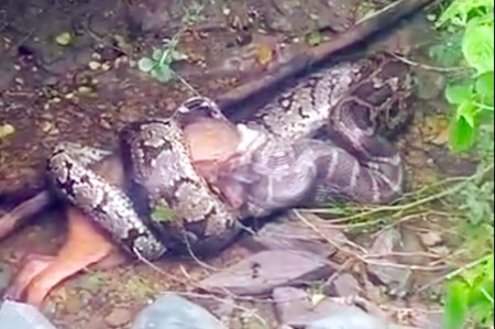 python