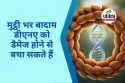 Almond Benefits for DNA : मुट्ठी भर बादाम आपकी उम्र बदलने में कारगर, जानें बादाम
कैसे करता है डीएनए को रिपेयर