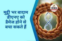 Almond Benefits for DNA