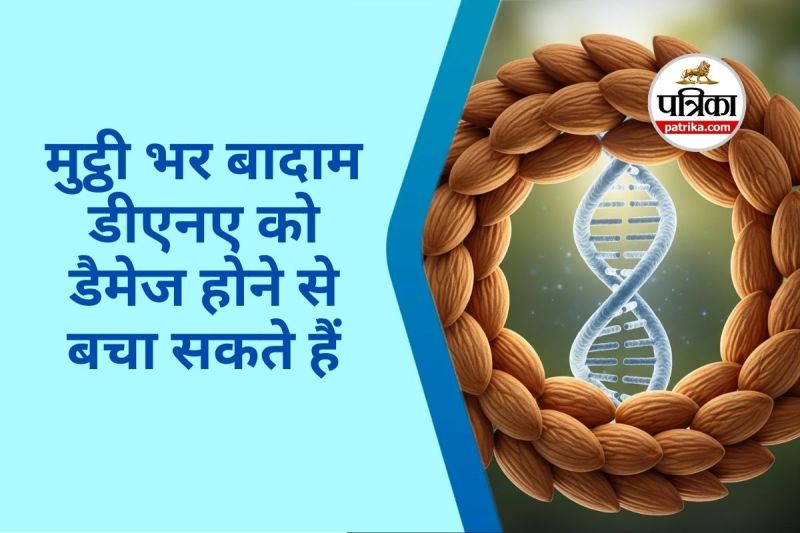 Almond Benefits for DNA