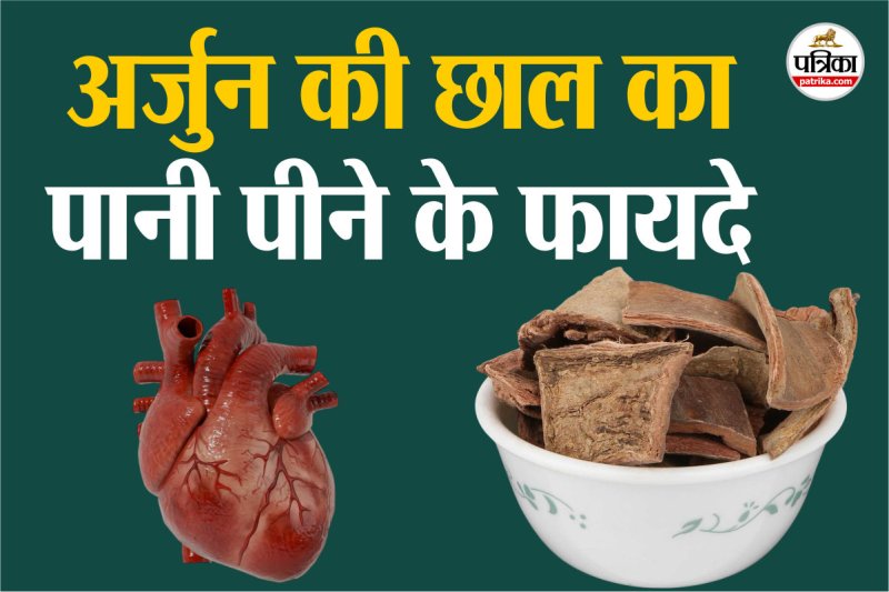 arjun bark water, Disease, Health, Arjun bark water benefits,