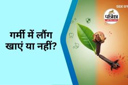 Benefits and Side Effects of Clove : गर्मी में लौंग खाएं या नहीं? इस गलती से हो
सकता है भारी नुकसान - image