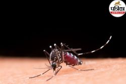 Chikungunya cases in Mumbai: बरसात के मौसम में क्यों बढ़ता है चिकनगुनिया, जानिए
बचाव के तरीके - image
