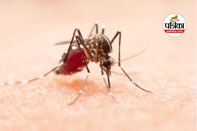 Chikungunya Virus in China