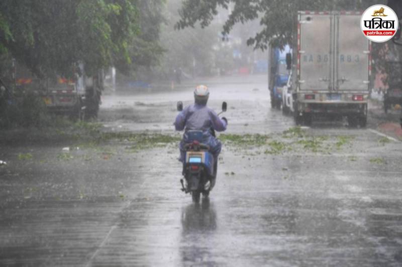 मोथा तूफान का असर! झमाझम बारिश से बदला मौसम, बेमौसम बरसात ने किसानों की बढ़ाई चिंता...(photo-patrika)