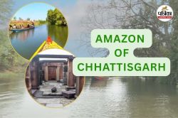 महानदी में जलमग्न पेड़ों के बीच नौका विहार, पर्यटकों को लुभा रहा ये छोटा अमेजन - image