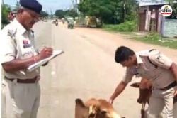 सड़कें गौशाला नहीं..! मवेशी छोड़ने वाले 7 पशु मालिकों पर सख्ती, सीधे FIR दर्ज,
लापरवाही पड़ी महंगी - image