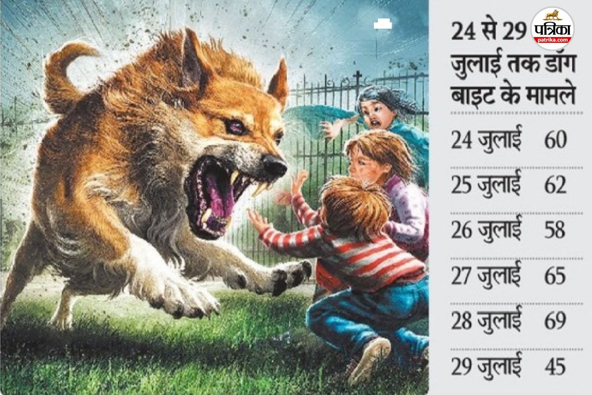 छत्तीसगढ़ में डॉग बाइट के मामलों में इज़ाफा, अस्पतालों में बढ़ी मरीजों की तादाद...(photo-patrika)