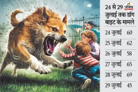 छत्तीसगढ़ में डॉग बाइट के मामलों में इज़ाफा, अस्पतालों में बढ़ी मरीजों की तादाद...(photo-patrika)