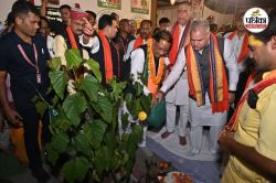 विधायक की पहल से सिंदूर पार्क को मिला गोल्डन बुक ऑफ वर्ल्ड रिकॉर्ड में स्थान, CM
साय ने 251 पेड़ों का किया लोकार्पण - image
