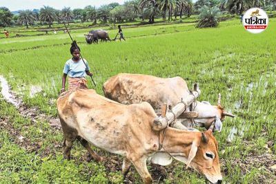 Short video poster image