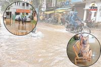 कई घरों में घुसा पानी (Photo source- Patrika)