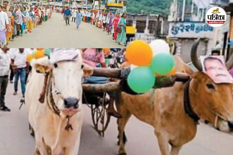बैलगाड़ी रैली निकाल कर किया प्रदर्शन (Photo source- Patrika)