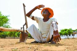 Rajasthan Monsoon: राजस्थान में जुलाई की भारी बारिश के बाद अब सूखे का संकट,
जानें इन 12 जिलों में फसलों पर खतरा - image