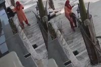 स्कूटी सवार युवती का खौफ, पत्रिका फोटो